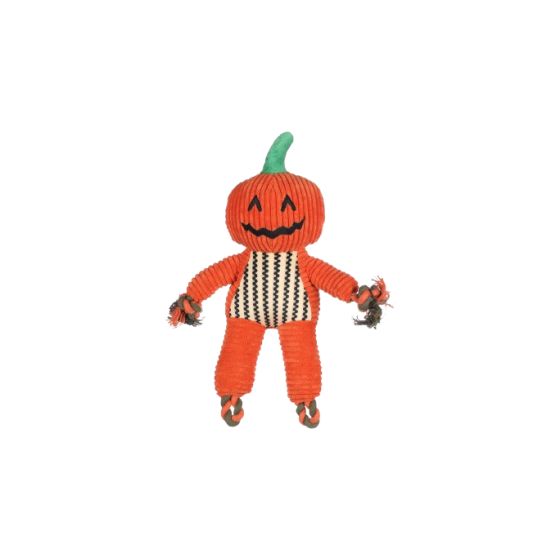 HALLOWEEN Toy Dog Bunut Pumpkin