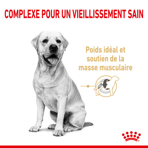 Royal Canin dog Spécial Labrador Retriever 5+  12kg