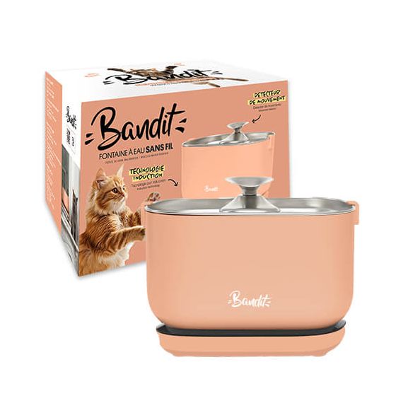 Bandit Wireless Fountain Fishing