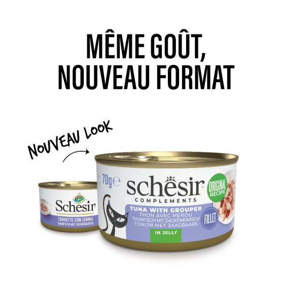 Schesir Cat Box 70gr Tuna with Grouper