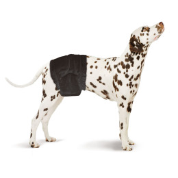 Swisspet male diaper Black S