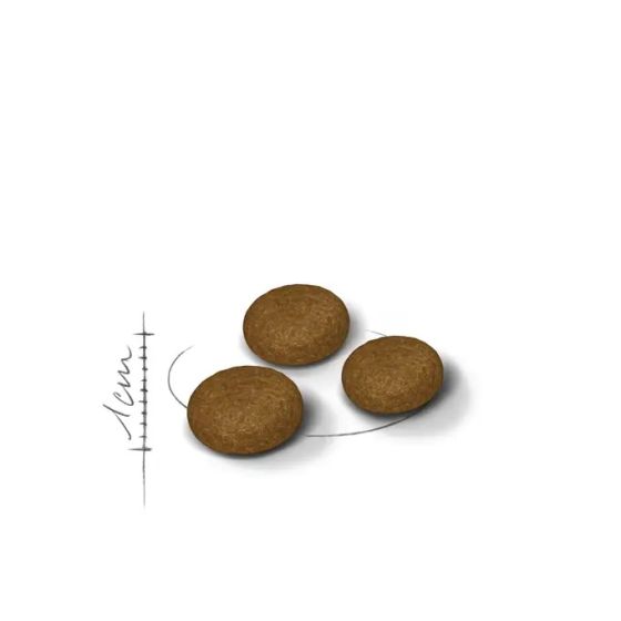 Royal Canin cat Require Fussy 2kg