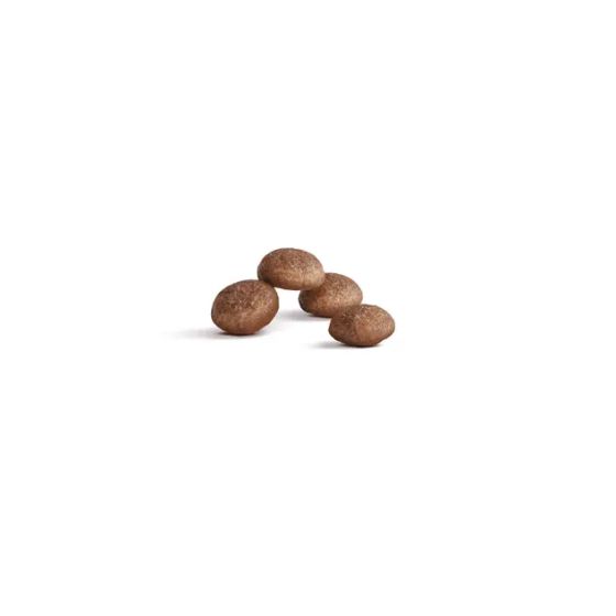 Royal Canin Feline Ageing cat +15400gr