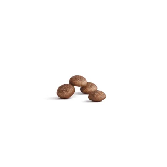 Royal Canin chat Feline Ageing +11400gr