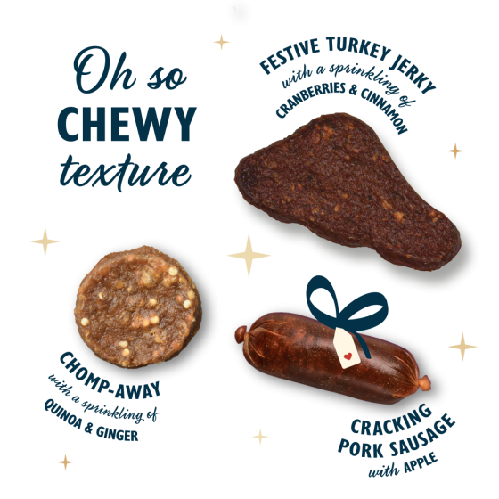 Lily's Kitchen Dog Boite Metal Festive Christmas Treats 300gr