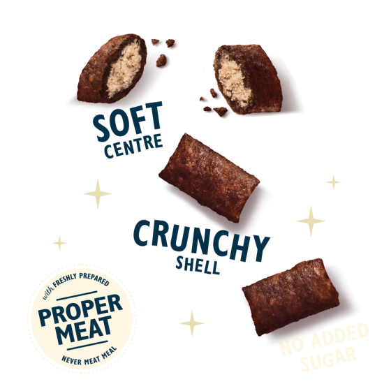 Lily's Kitchen Cat Festive Treat 60gr