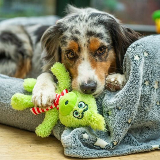 Peluche de Noël « Grimo » Petit