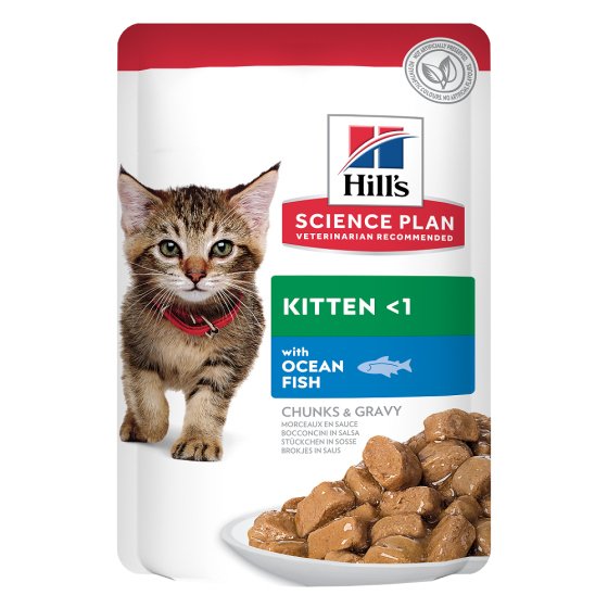 Hill's feline sachet kitten ocean fish 12x85g