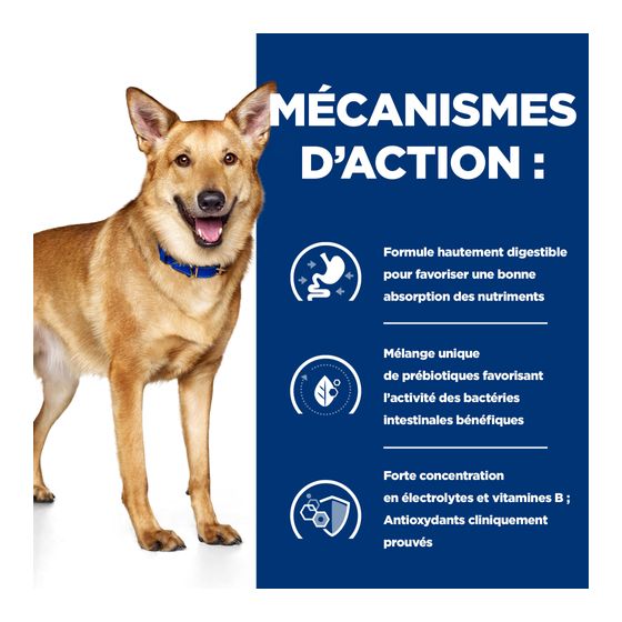 Prescription Diet™ Canine i/d™ Beef 12x360gr