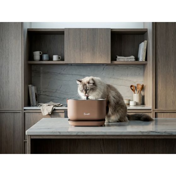 Bandit Fontaine Wireless Moka