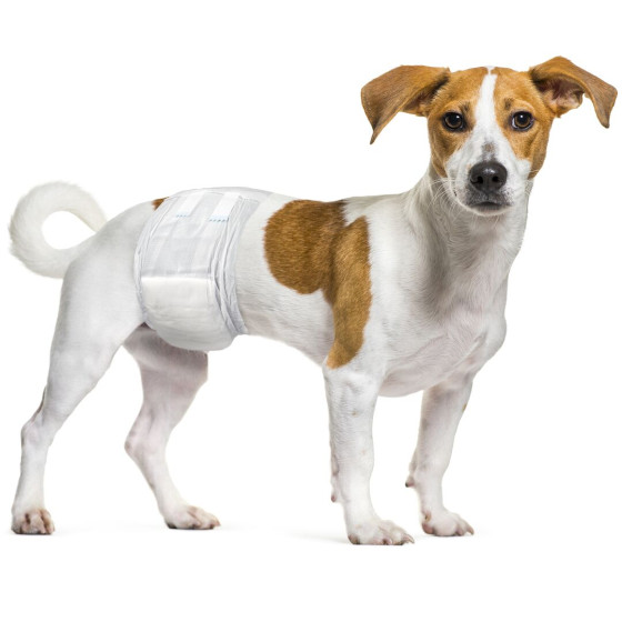 Flamingo Male Dog Nappies S 12-pack (30–46 cm)