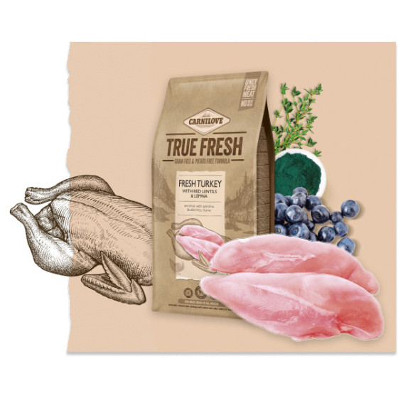 Carnilove True Fresh Can Adult Dinde fraîche (sur commande)