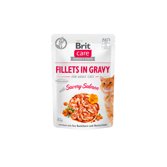 BRIT CARE Feline Salmon Sauce 24x85gr