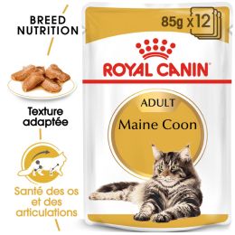 Royal Canin chat Humide Breed Maine Coon 85gr