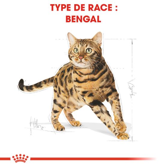 Royal Canin Cat Food BREED BENGAL 2kg