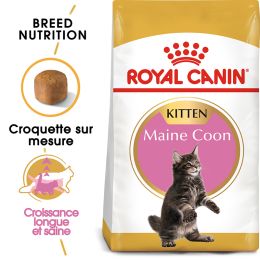 Royal Canin chat BREED MAIN COON KITTEN 400gr