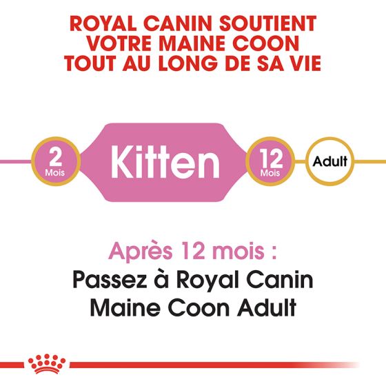 Royal Canin chat BREED MAIN COON KITTEN4Kg