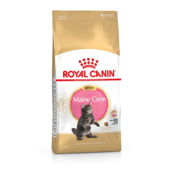 Royal Canin chat BREED MAIN COON KITTEN 400gr