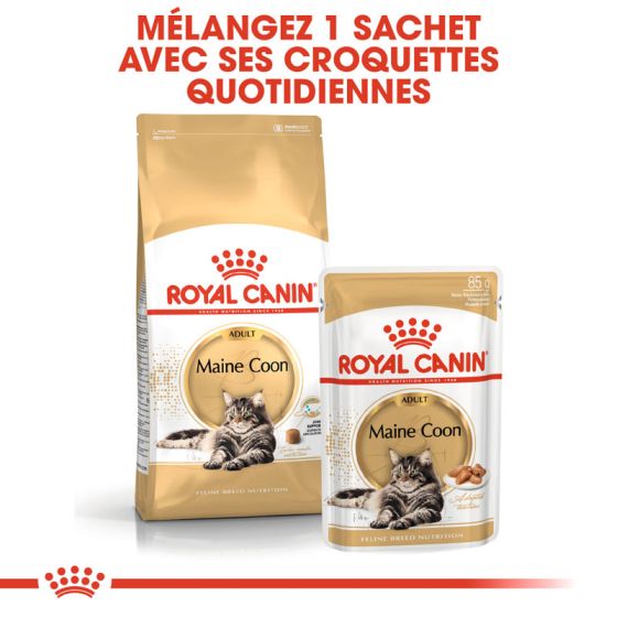 Royal Canin cat BREED MAINE COON 10kg