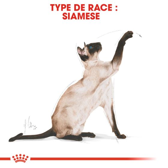 Royal Canin chat BREED SIAMESE 400g