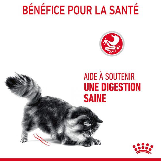 Royal Canin chat Digestive Care 400g