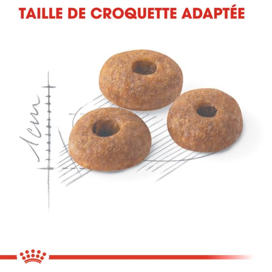 Royal Canin chat FIT2kg