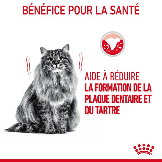 Royal Canin chat DENTAL Care  400g