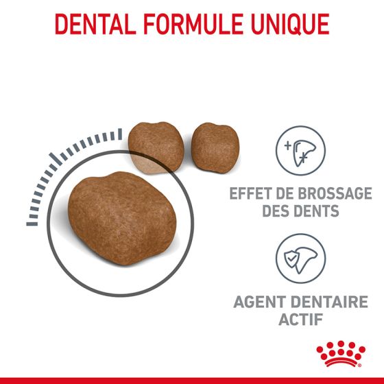 Royal Canin chat DENTAL Care  400g