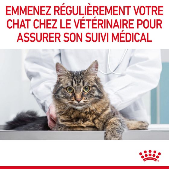 Royal Canin chat DENTAL Care  400g