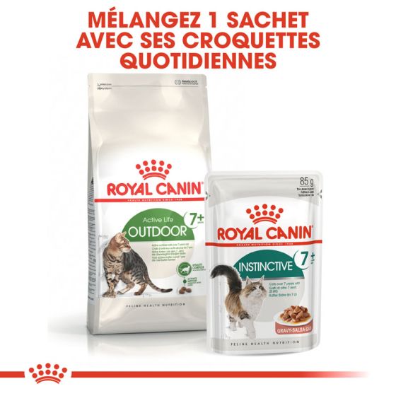 Royal Canin cat OUTDOOR+7 4kg (Delay between 2 to 4 days)