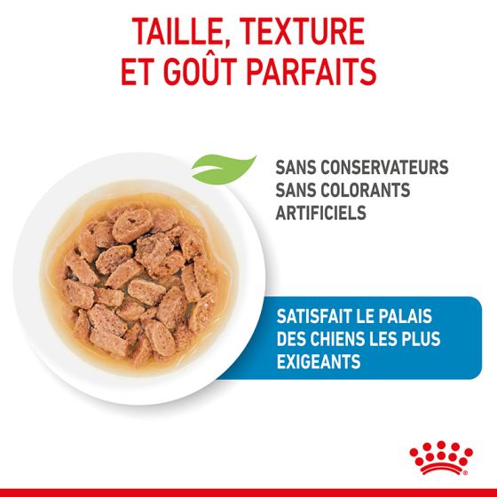 Royal Canin Wet Dog Food Mini Puppy Pouches 12x85g