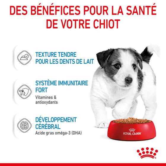 Royal Canin Wet Dog Food Mini Puppy Pouches 12x85g