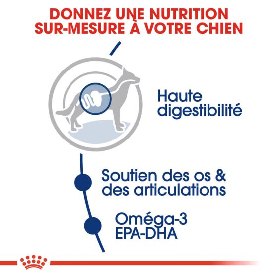 Royal Canin dog SIZE N maxi adulte 15kg