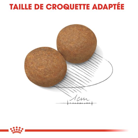 Royal Canin dog SIZE N maxi adulte 15kg