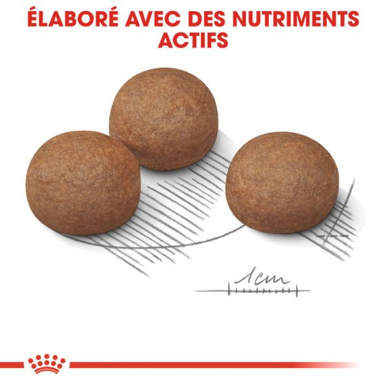 Royal Canin dog SIZE N max Digestive Care (12kg) (special order, within 48 hours)