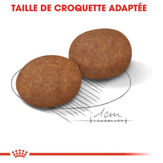 Royal Canin dog SIZE N medium adult 7+15kg (Delay 2 to 4 days)