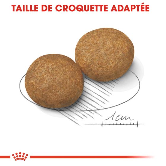 Royal Canin dog SIZE N medium adult 15kg