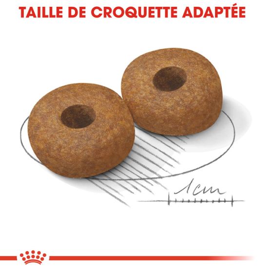 Royal Canin dog SIZE N medium Aging 10+ 15Kg (Delay 2 to 5 days)