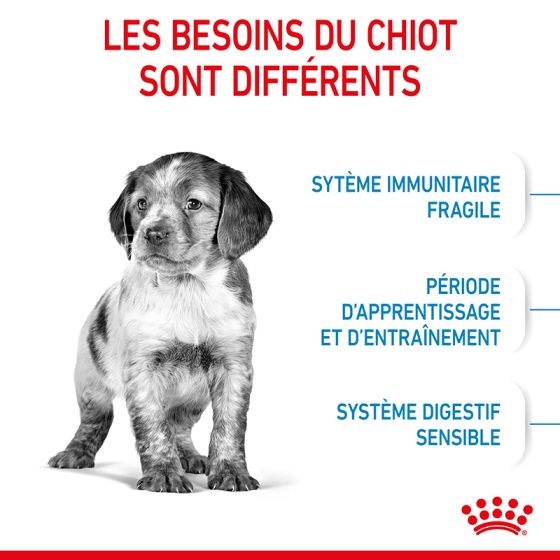 Royal Canin dog SIZE N medium junior 15kg