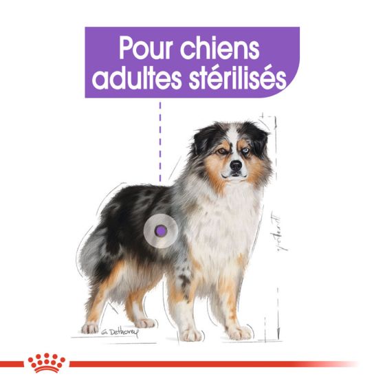 Royal Canin dog SIZE N medium Sterilised3kg