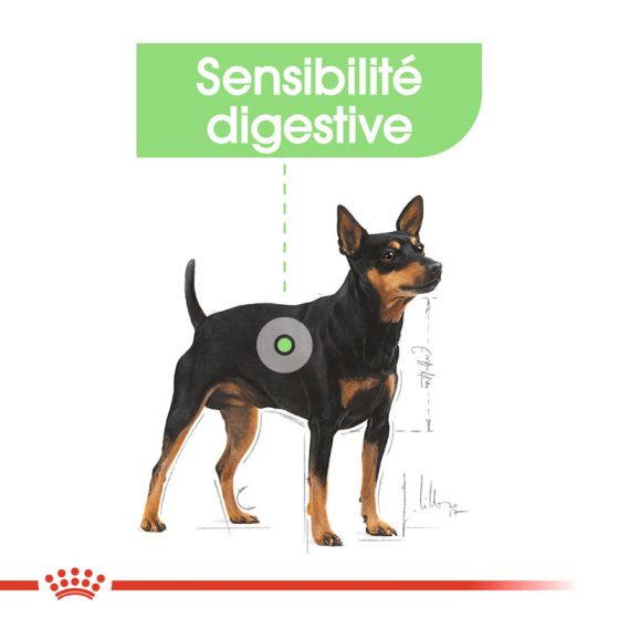 Royal Canin dog SIZE N mini Digestive 1kg