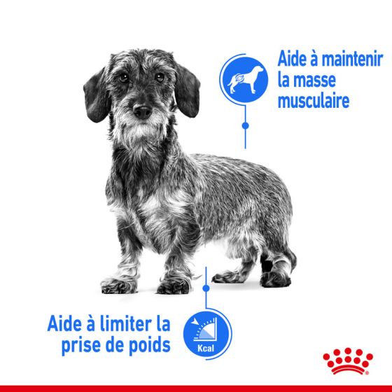 Royal Canin dog SIZE N mini light 3kg