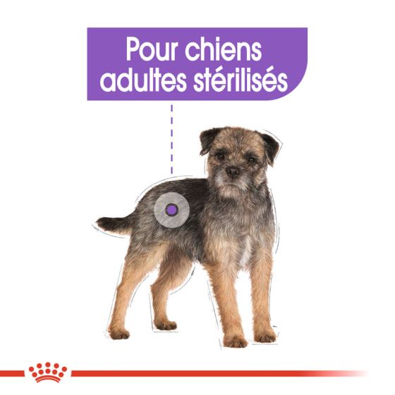 Royal Canin dog SIZE N mini Sterilised 3kg
