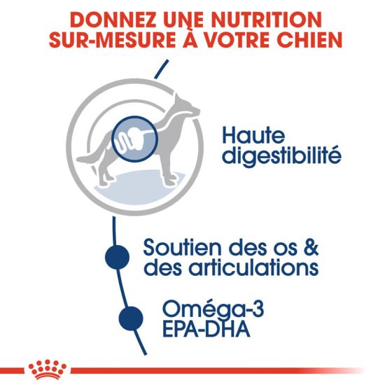 Royal Canin dog Sachet Maxi Adult 140gr