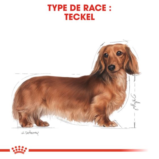 Royal Canin dog Special Dachshund Bag 12x85gr