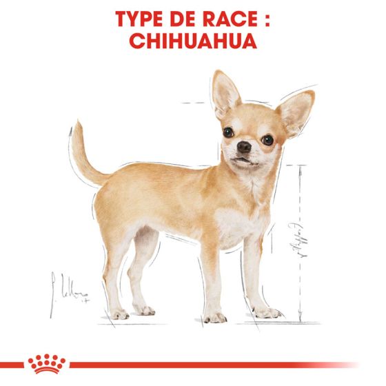 Royal Canin Dog Special Chihuahua 12x85g Sachets