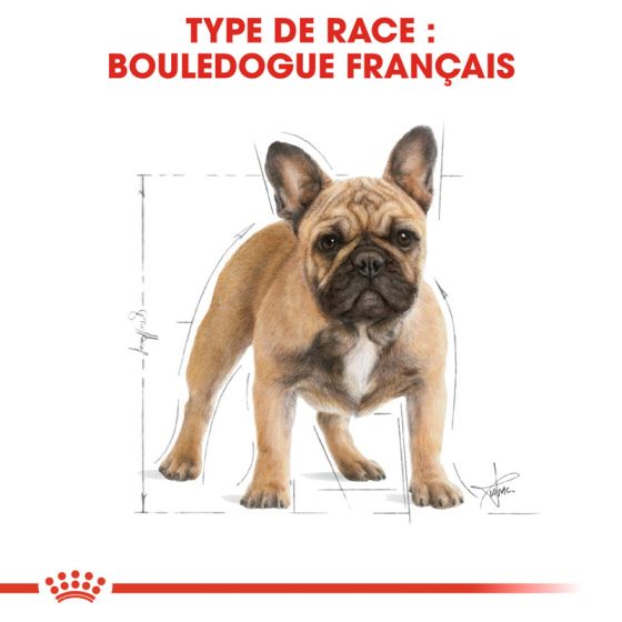 Royal Canin dog Special Bulldog French Adult 3Kg