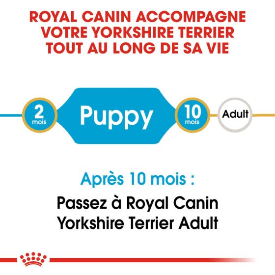 Royal Canin dog Special Yorkshire terrier Junior 500g