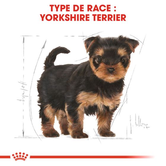 Royal Canin dog Spécial Yorkshire Junior500g