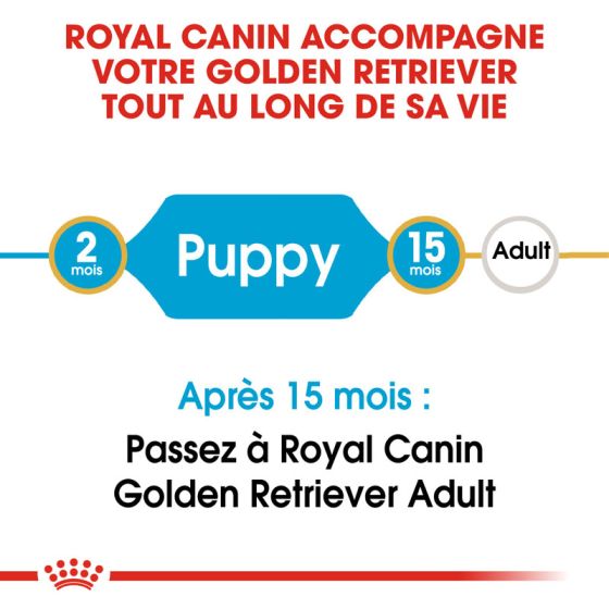 Royal Canin dog Spécial Golden Retriever junior 12Kg